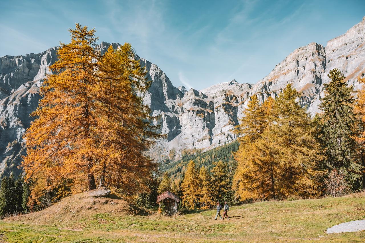 Goldene Lärchen vor der Gemmi-Kalkwand — Herbst in Leukerbad